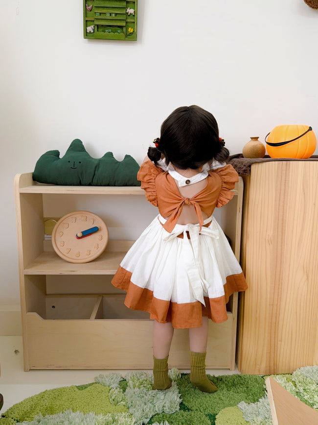 JannyBB handmade embroidery pumpkin & birthday dress set