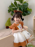 JannyBB handmade embroidery pumpkin & birthday dress set