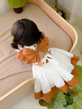 JannyBB handmade embroidery pumpkin & birthday dress set