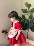 JannyBB  Red Vintage Rose Apron Cotton Linen Dress